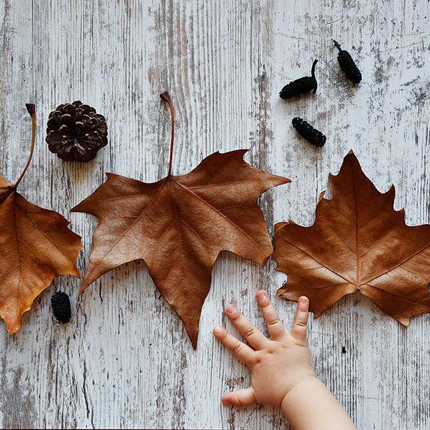 Fallen leaves, baby hand