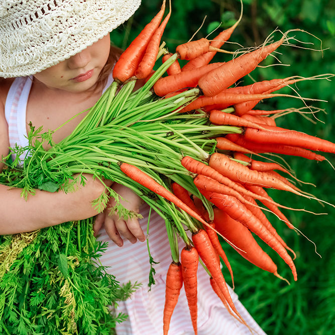 Girl with a bunch of freshly clean carrots